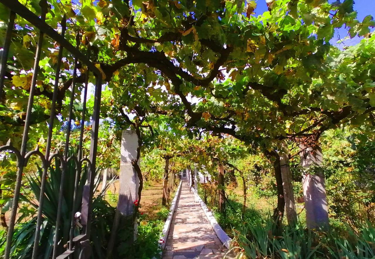 Morin Grey Casa En El Corazon De La Ribeira Sacra Villa Monforte De Lemos Buitenkant foto