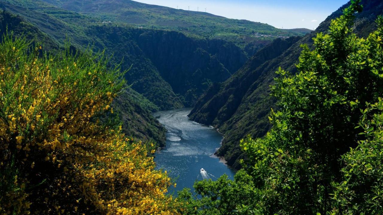 Morin Grey Casa En El Corazon De La Ribeira Sacra Villa Monforte De Lemos Buitenkant foto