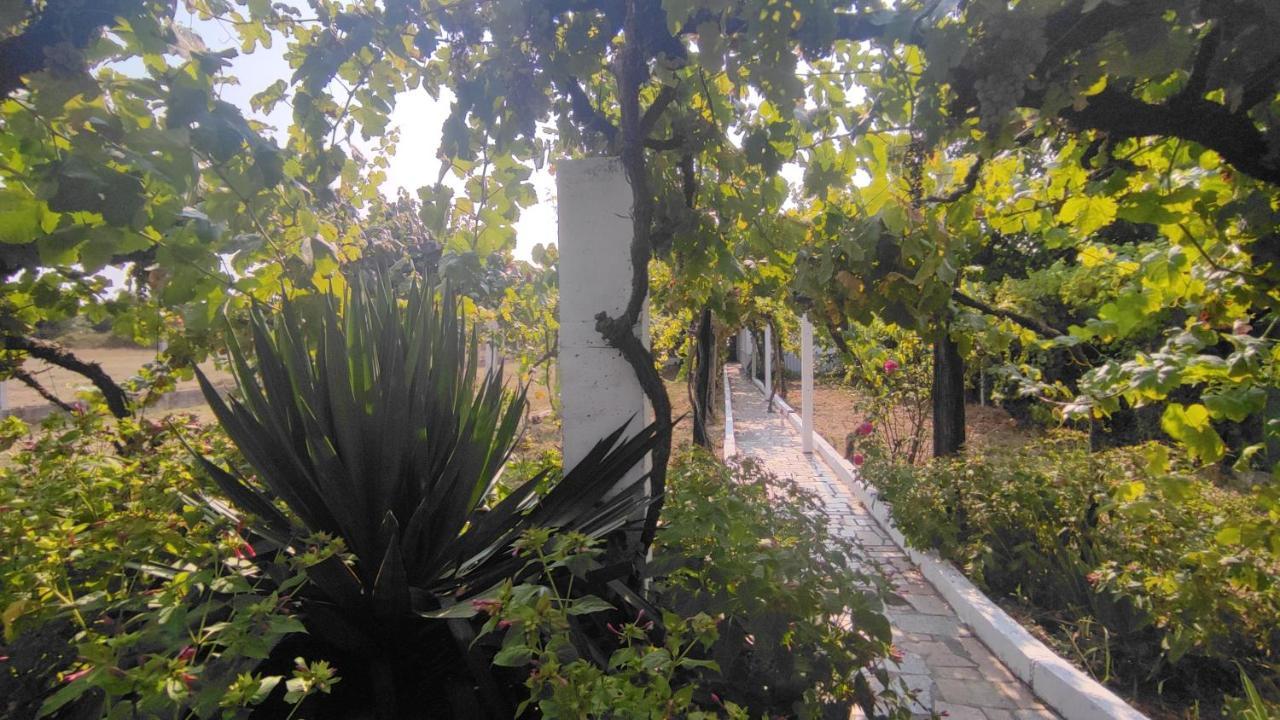 Morin Grey Casa En El Corazon De La Ribeira Sacra Villa Monforte De Lemos Buitenkant foto