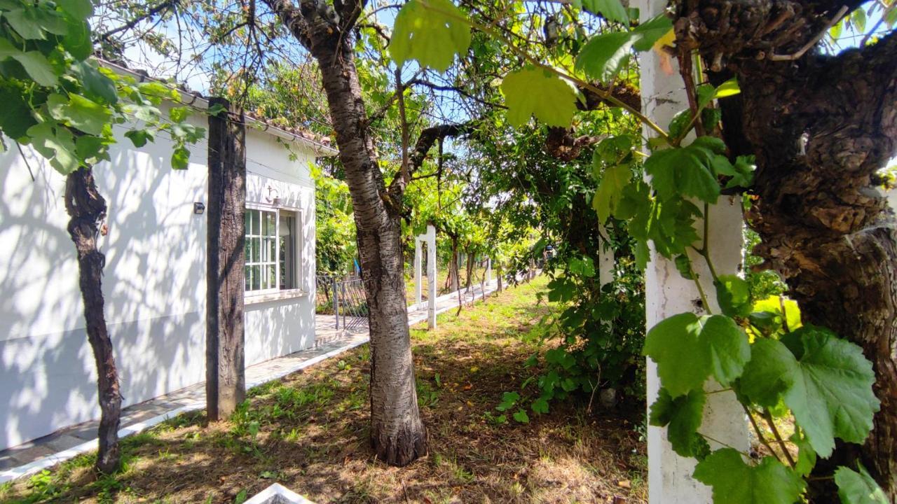 Morin Grey Casa En El Corazon De La Ribeira Sacra Villa Monforte De Lemos Buitenkant foto