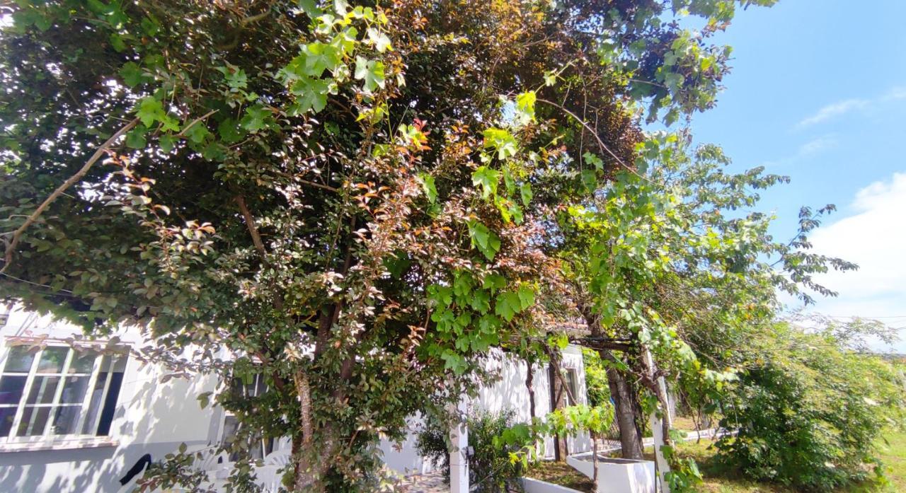 Morin Grey Casa En El Corazon De La Ribeira Sacra Villa Monforte De Lemos Buitenkant foto